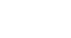 realnet seguridad en redes